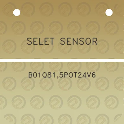 selet-sensor-b01q815pot24v6