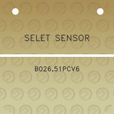 selet-sensor-b02651pcv6