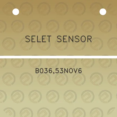 selet-sensor-b03653nov6