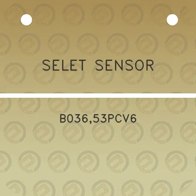 selet-sensor-b03653pcv6