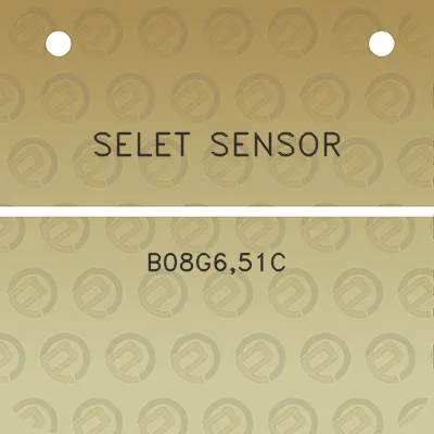 selet-sensor-b08g651c