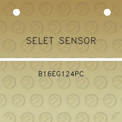 selet-sensor-b16eg124pc