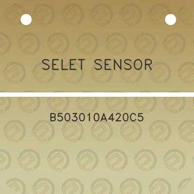 selet-sensor-b503010a420c5