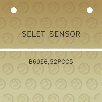 selet-sensor-b60e652pcc5