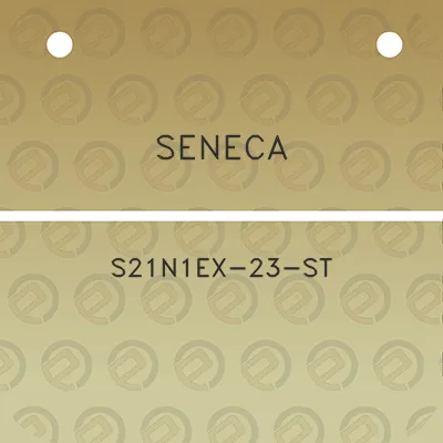 seneca-s21n1ex-23-st