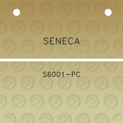 seneca-s6001-pc