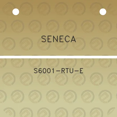 seneca-s6001-rtu-e