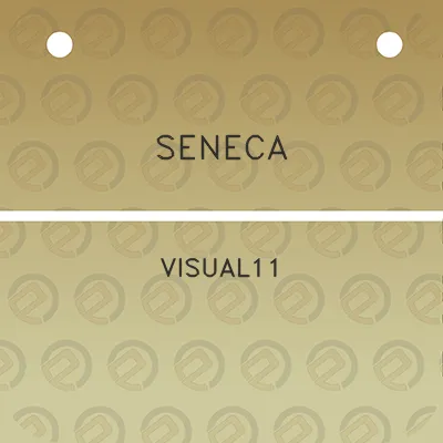 seneca-visual11