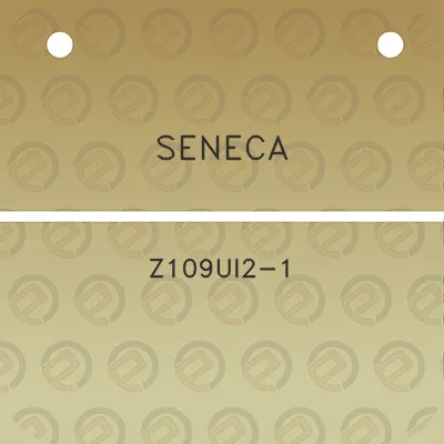 seneca-z109ui2-1