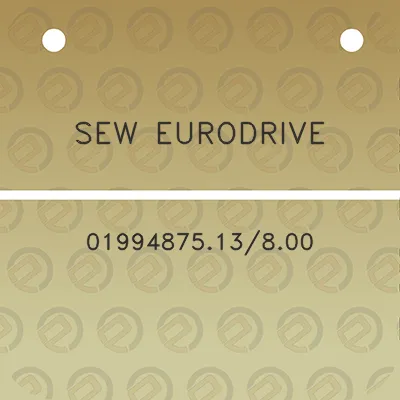 sew-eurodrive-0199487513800