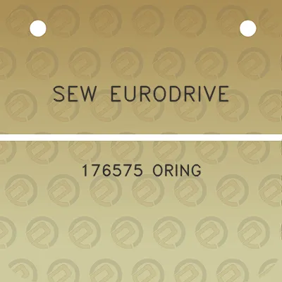 sew-eurodrive-176575-oring