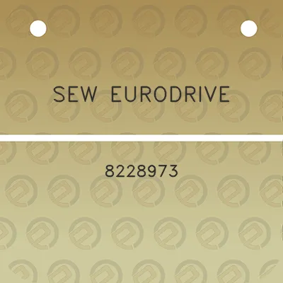 sew-eurodrive-8228973