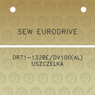 sew-eurodrive-dr71-132bedv100al-uszczelka