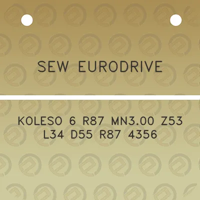 sew-eurodrive-koleso-6-r87-mn300-z53-l34-d55-r87-4356