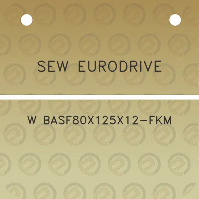 sew-eurodrive-w-basf80x125x12-fkm