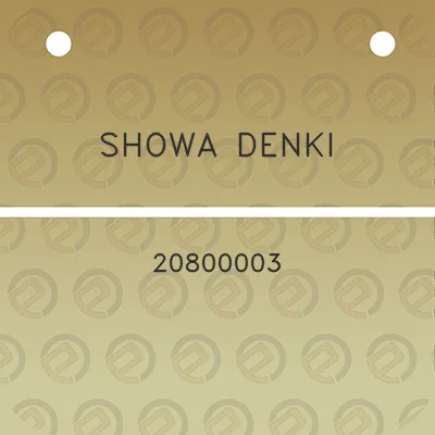 showa-denki-20800003