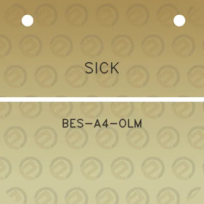 sick-bes-a4-olm