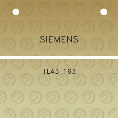 siemens-1la3-163