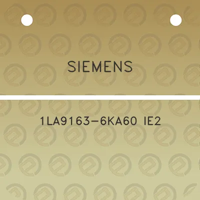 siemens-1la9163-6ka60-ie2