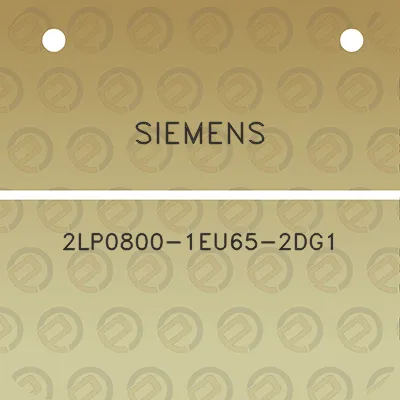 siemens-2lp0800-1eu65-2dg1