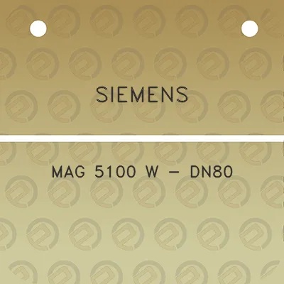 siemens-mag-5100-w-dn80