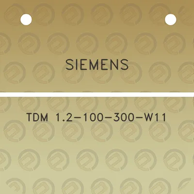 siemens-tdm-12-100-300-w11