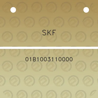 skf-01b1003110000