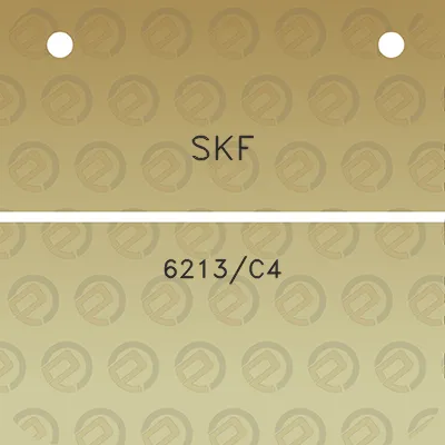 skf-6213c4