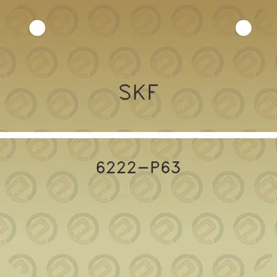 skf-6222-p63