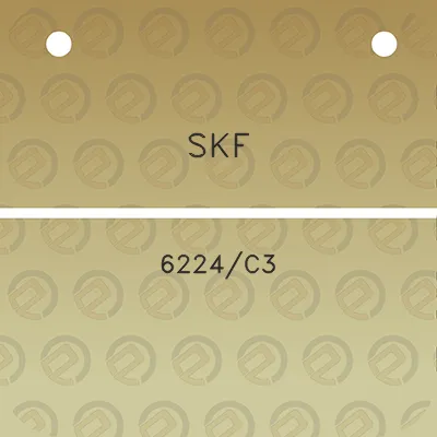 skf-6224c3