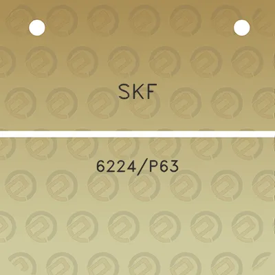 skf-6224p63