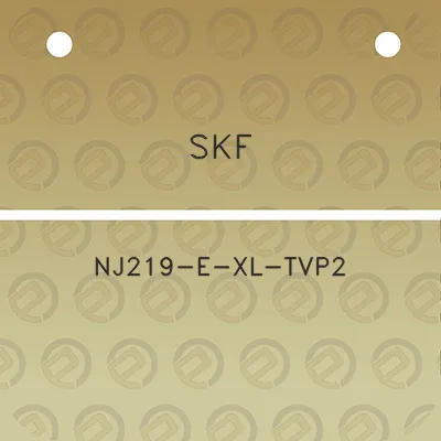 skf-nj219-e-xl-tvp2