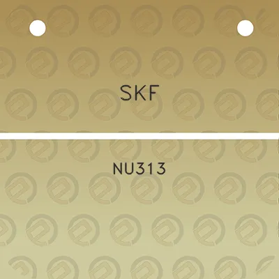 skf-nu313