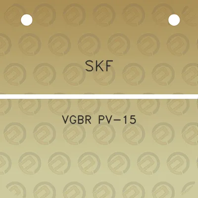 skf-vgbr-pv-15