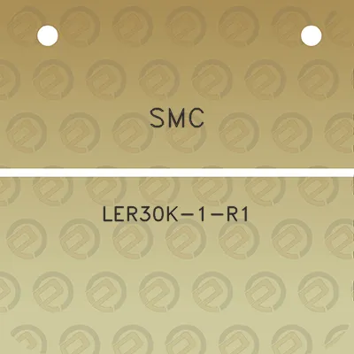 smc-ler30k-1-r1