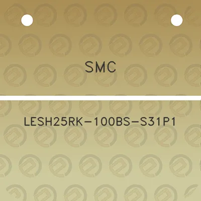 smc-lesh25rk-100bs-s31p1