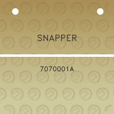 snapper-7070001a