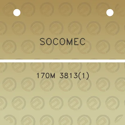 socomec-170m-38131