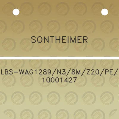 sontheimer-lbs-wag1289n38mz20pe10001427