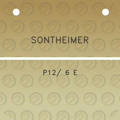 sontheimer-p12-6-e