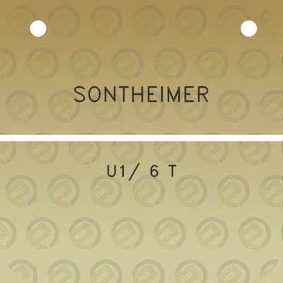 sontheimer-u1-6-t