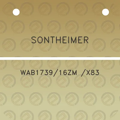 sontheimer-wab173916zm-x83