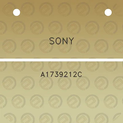 sony-a1739212c