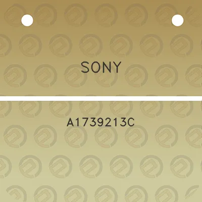 sony-a1739213c