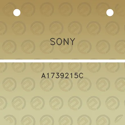 sony-a1739215c