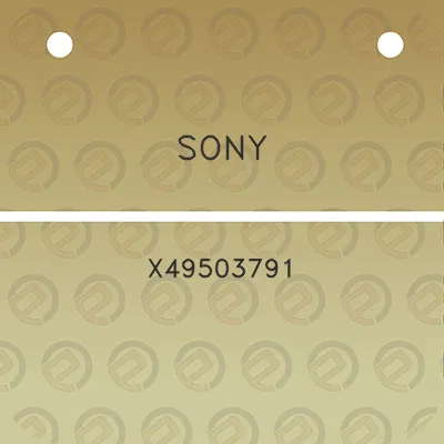 sony-x49503791