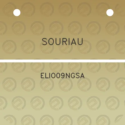 souriau-elio09ngsa