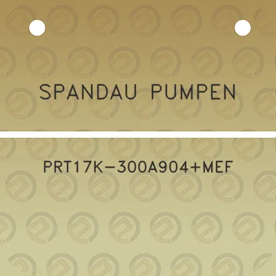 spandau-pumpen-prt17k-300a904mef