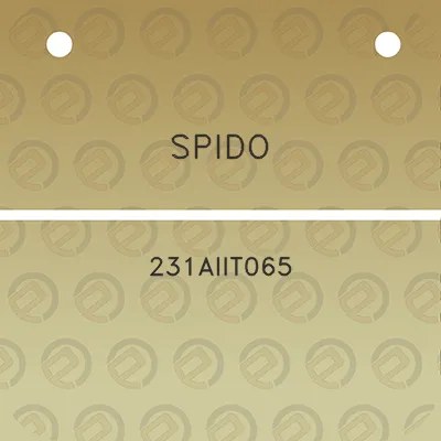 spido-231aiit065