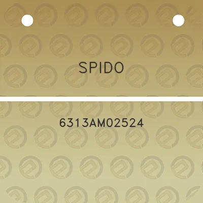 spido-6313am02524